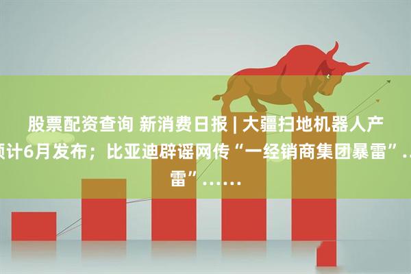 股票配资查询 新消费日报 | 大疆扫地机器人产品预计6月发布；比亚迪辟谣网传“一经销商集团暴雷”……