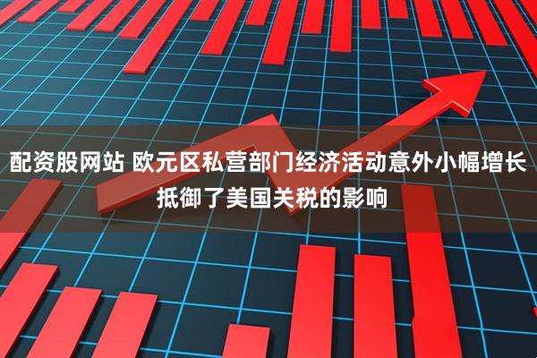 配资股网站 欧元区私营部门经济活动意外小幅增长 抵御了美国关税的影响