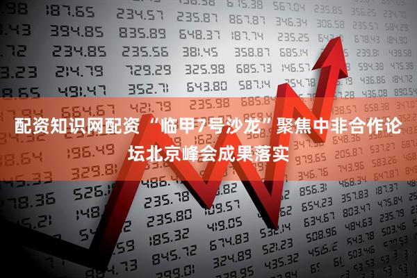 配资知识网配资 “临甲7号沙龙”聚焦中非合作论坛北京峰会成果落实